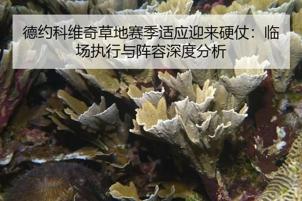 德约科维奇草地赛季适应迎来硬仗：临场执行与阵容深度分析